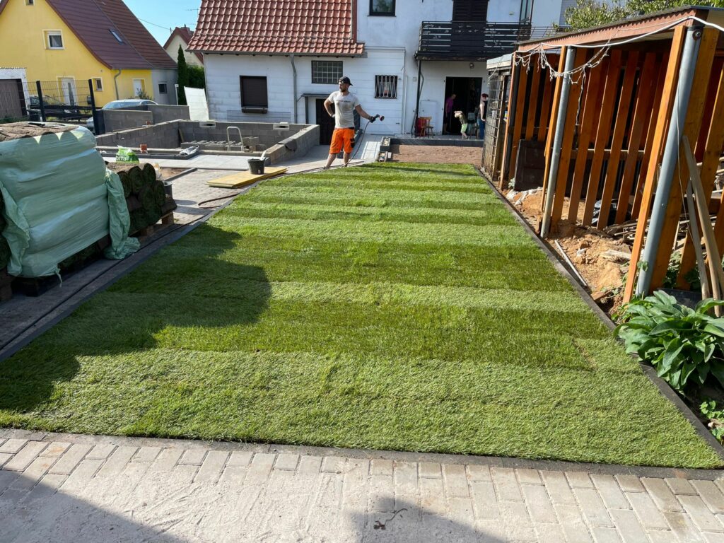 Frisch verlegter Rollrasen im Garten – Gartenbau Saarland